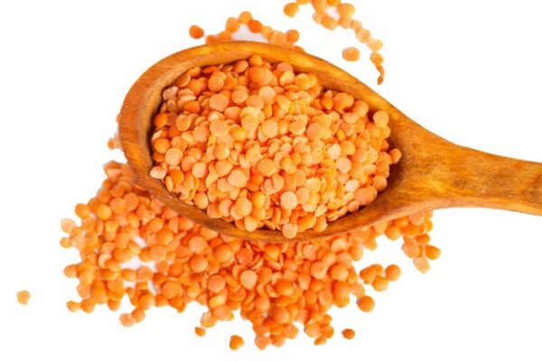 Red Lentil