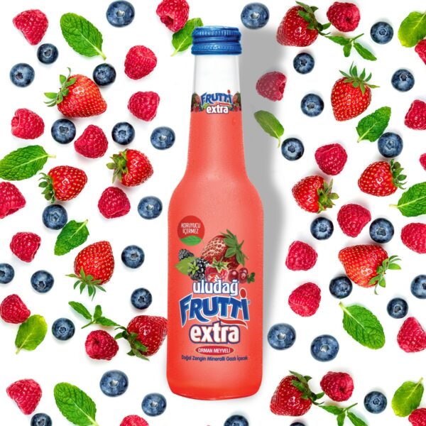 Uludağ Frutti Extra Forest Fruits 250 ml - Image 2